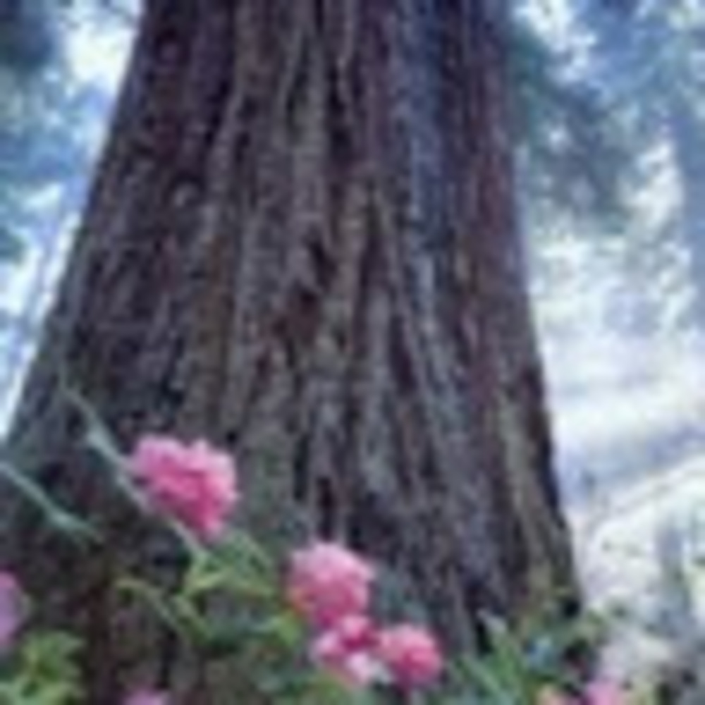 Meet your Posher, Margie